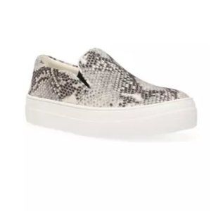 Steve Madden I Gills Snakeskin Slip On Sneaker 8.5